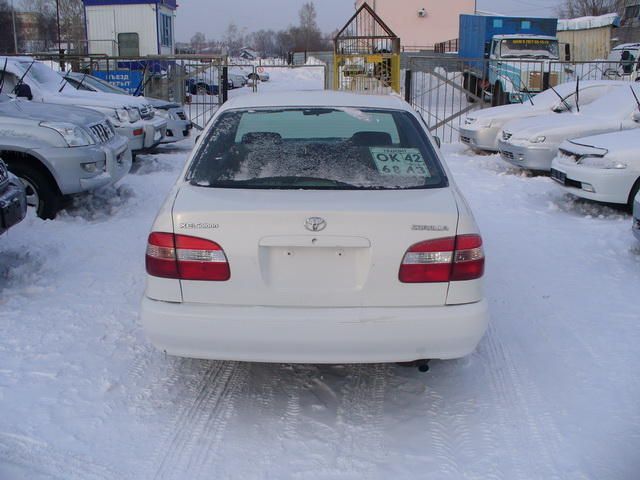1998 Toyota Corolla
