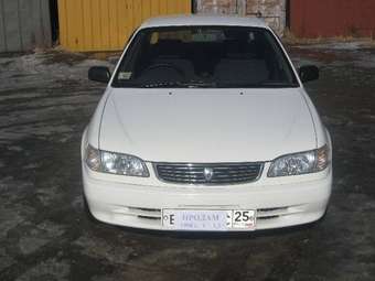 Corolla