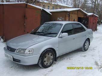 1998 Corolla