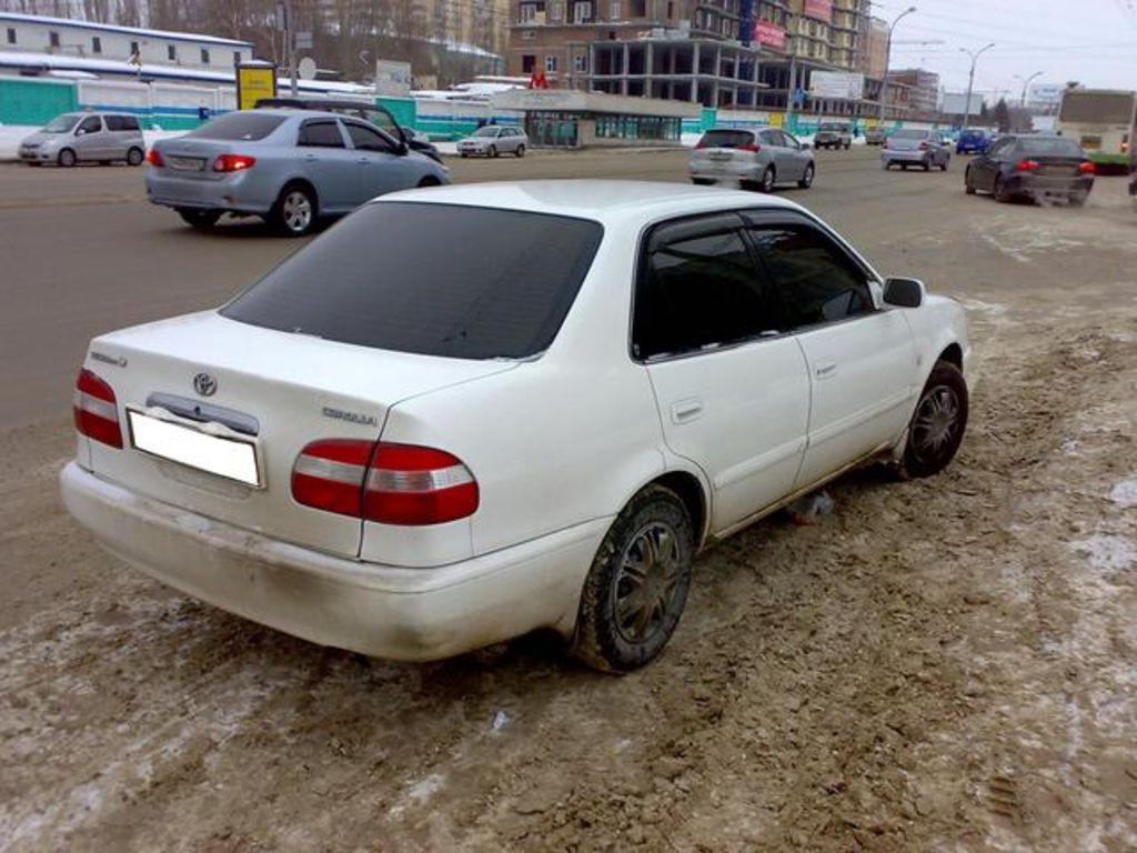 1998 Toyota Corolla