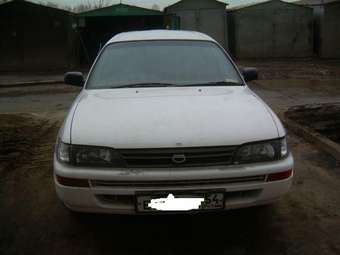 Corolla