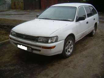 1998 Corolla