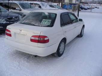 1998 Corolla