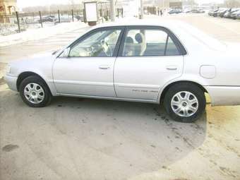 1998 Toyota Corolla