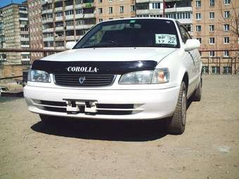 Corolla