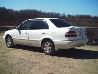 1998 Corolla