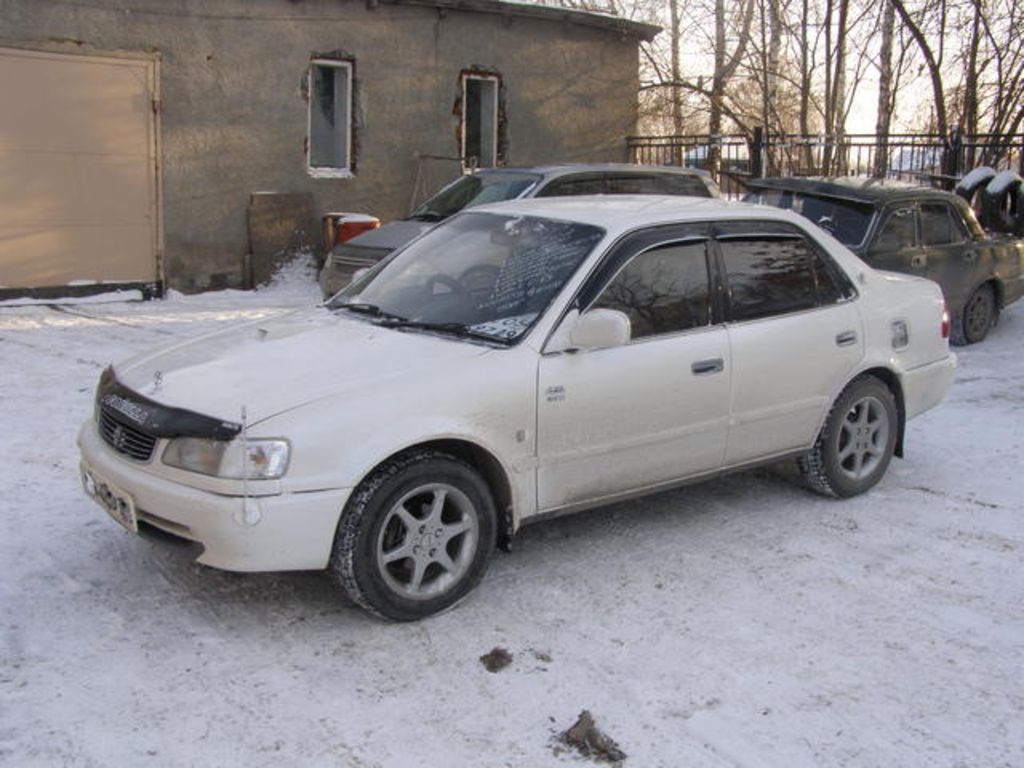 1998 Toyota Corolla