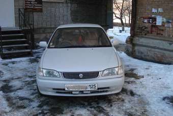 1998 Toyota Corolla