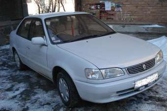 Corolla