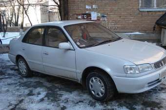 1998 Corolla