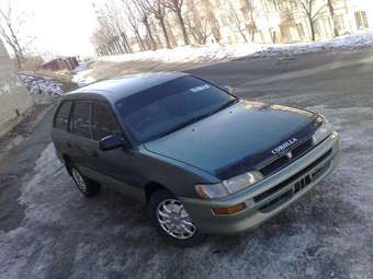 1998 Corolla