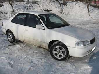 1998 Toyota Corolla