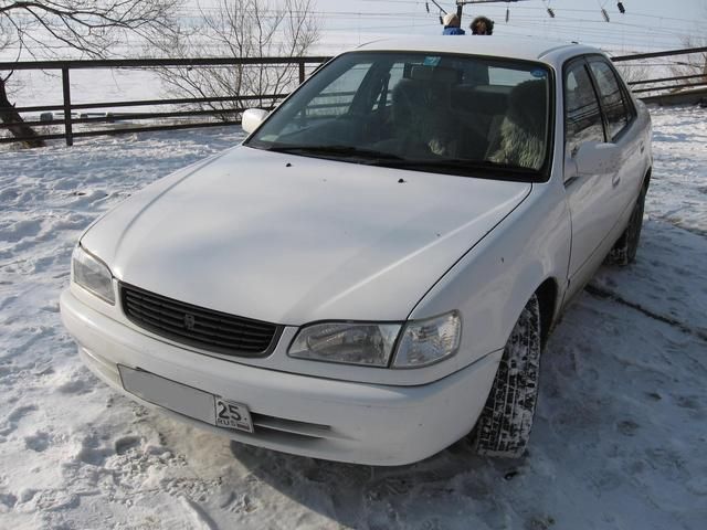 1998 Toyota Corolla