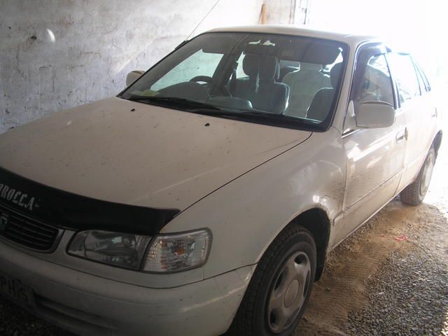 1998 Toyota Corolla