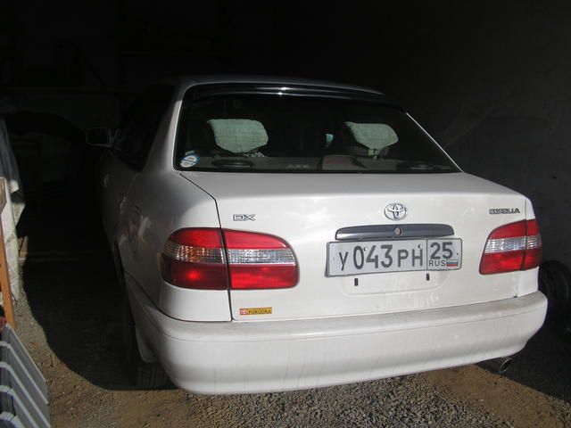 1998 Toyota Corolla