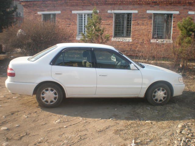 1998 Toyota Corolla