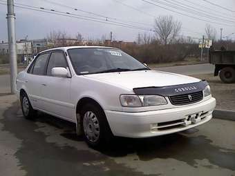 1998 Toyota Corolla