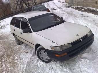 1998 Corolla