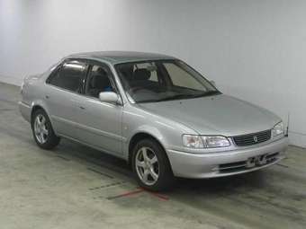 1998 Toyota Corolla