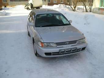 1998 Corolla