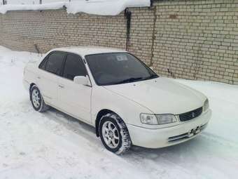1998 Toyota Corolla