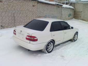 Corolla