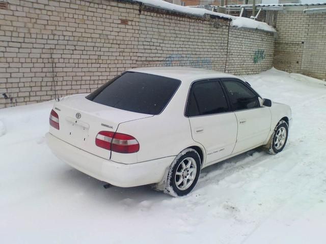 1998 Toyota Corolla