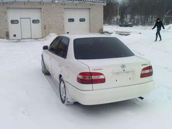 1998 Corolla