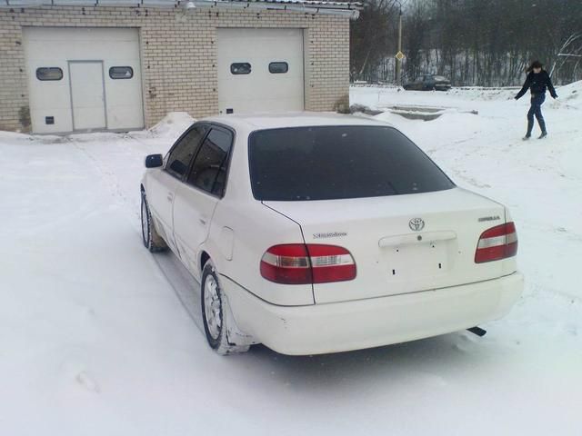 1998 Toyota Corolla