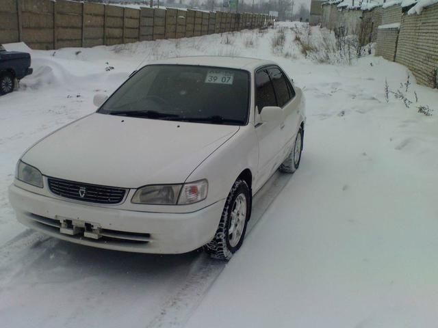 1998 Toyota Corolla