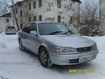 Corolla