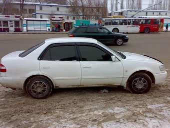 1998 Corolla