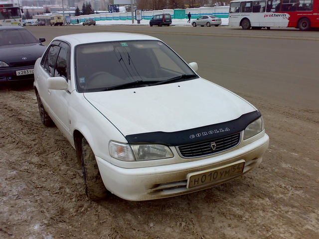 1998 Toyota Corolla