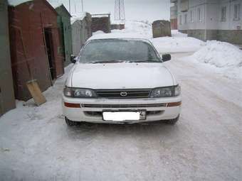 Corolla
