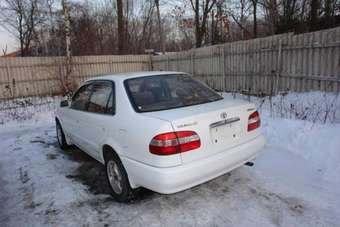 Corolla
