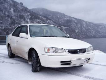 1998 Toyota Corolla