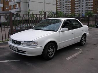 1998 Toyota Corolla Pics