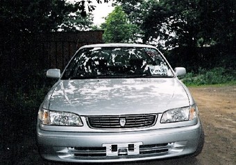 1998 Toyota Corolla Pictures