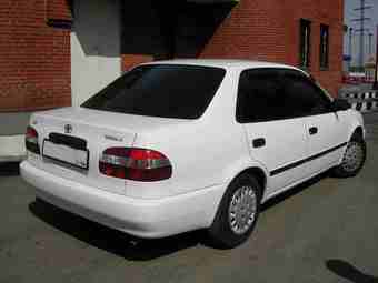 1998 Toyota Corolla Pics