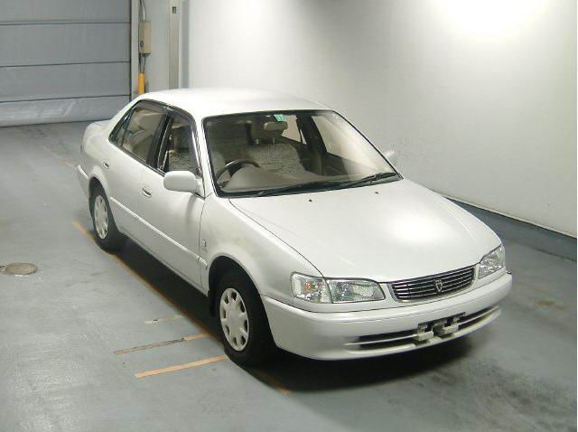 1998 Toyota Corolla Photos