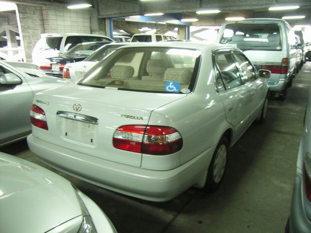 1998 Toyota Corolla Pictures