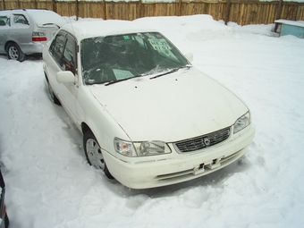 1998 Toyota Corolla