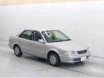 1998 Toyota Corolla Pictures