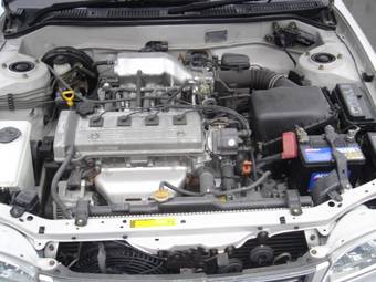 1998 Toyota Corolla Photos