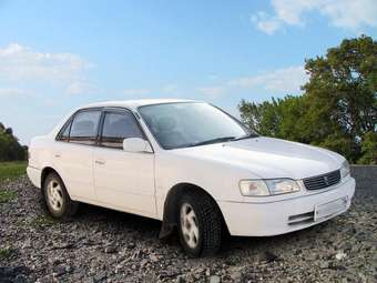 1998 Toyota Corolla Images