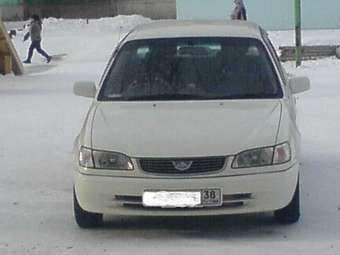 1998 Toyota Corolla Images
