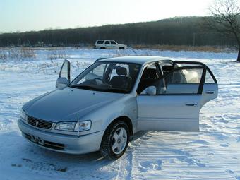 1999 Toyota Corolla