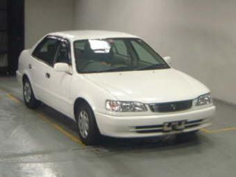 1999 Toyota Corolla