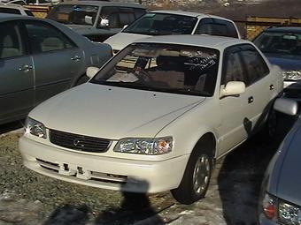 1999 Toyota Corolla