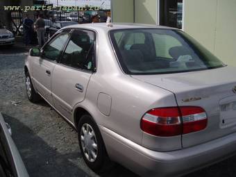 Corolla
